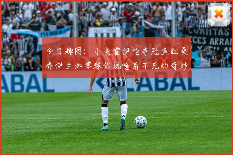 今日趣图：小麦霍伊伦夺冠鱼缸桑乔伊兰加零球你说啥看不见的奇妙瞬间