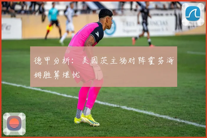 德甲分析：美因茨主场对阵霍芬海姆胜算堪忧