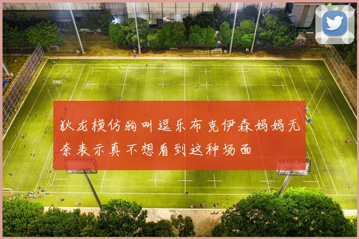 狄龙模仿狗叫逗乐布克伊森妈妈无奈表示真不想看到这种场面
